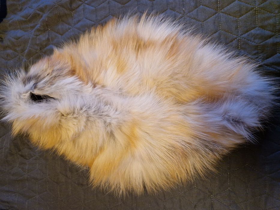 Естествена яка от лисица