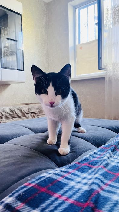 Мальчик 6 месяцев