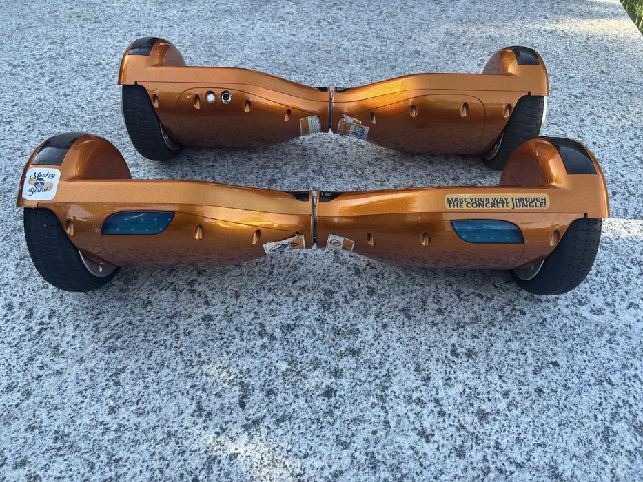 Hoverboard Monkey