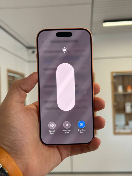 iPhone 17 Pro | 256 GB