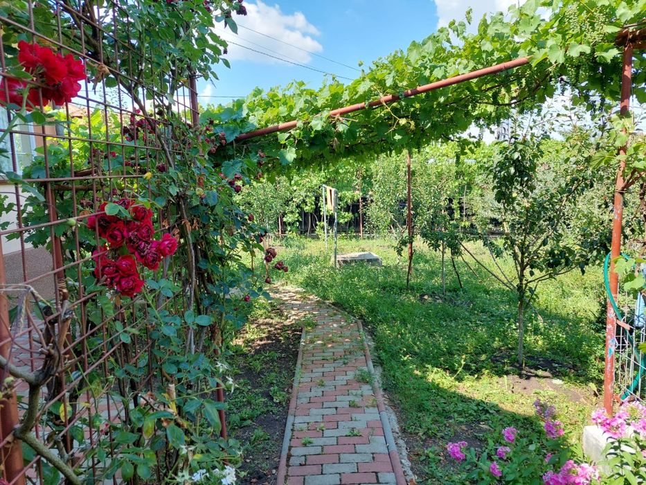 Vand casa in loc. Valea Larga , jud Mureș