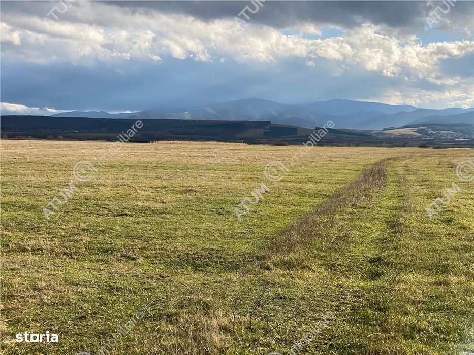 Teren de vanzare 580 mp in Sibiu pretabil investitie