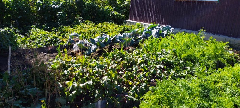 Продам дом город Риддер