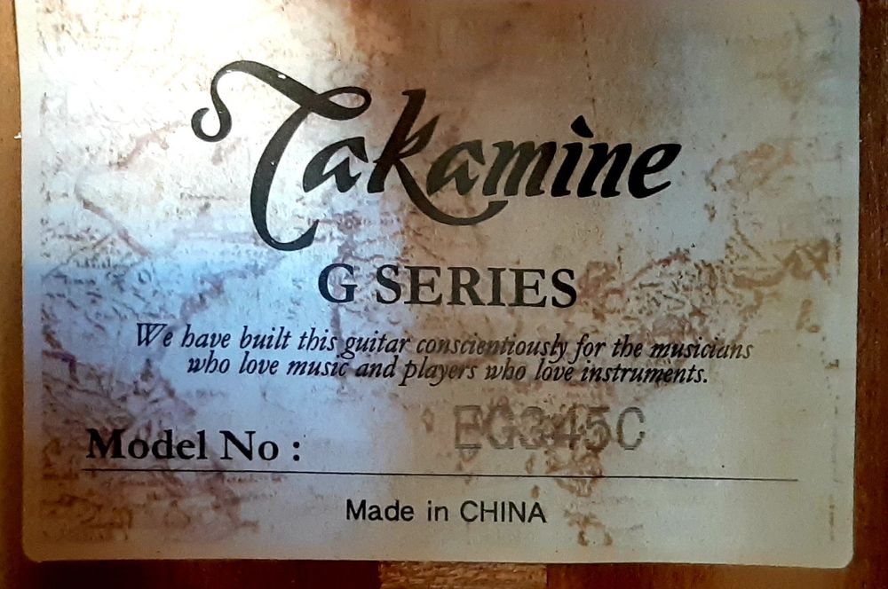 Ел.-акустична 12-струнна китара Takamine G Series с колан и куфар