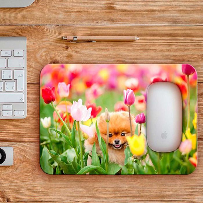 Печать на футболках, кепках, кружках в Ташкенте