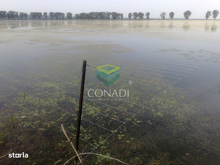 Oportunitate investitionala | Ferma piscicola 233 ha | Calarasi