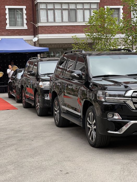 Toy va Raddom marosimlari uchun kartej W222