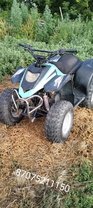 квадроцикл125куб поменяю на баран