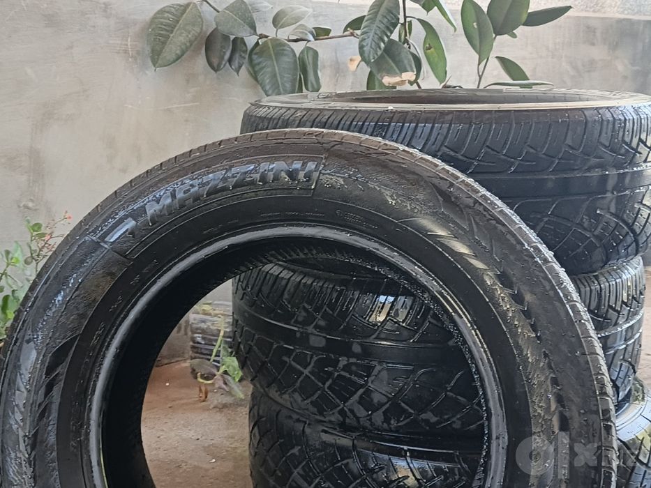 Shark-zo2 mazzini r 18