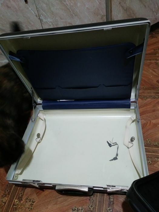 Два кэйса-чемодана, в хорошем состоянии, по 250.0 тыс каждый