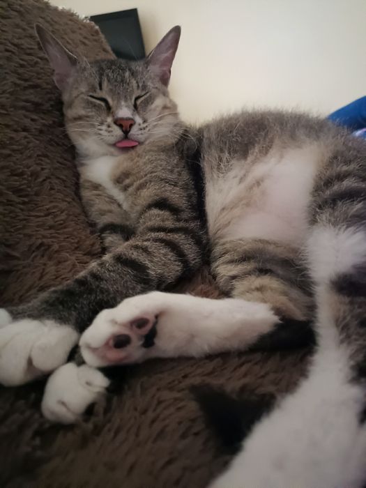 Отдам девочку в хорошие руки