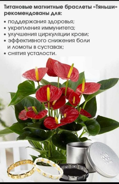 Титановые браслеты Тяньши — стиль + поддержка здоровья