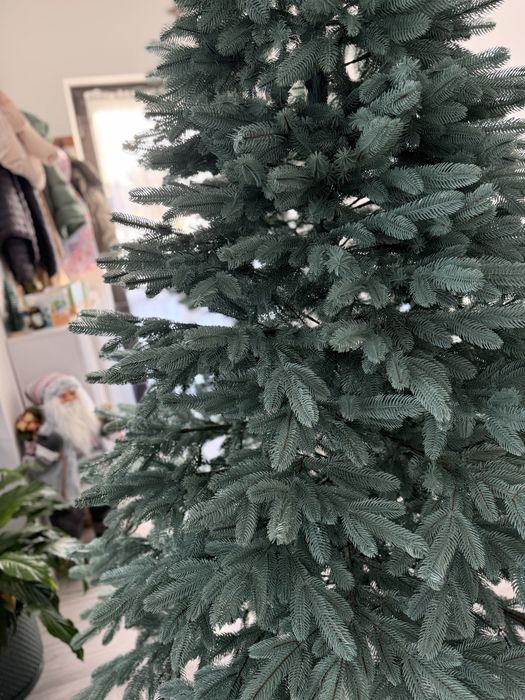 Brad argintiu sersimo