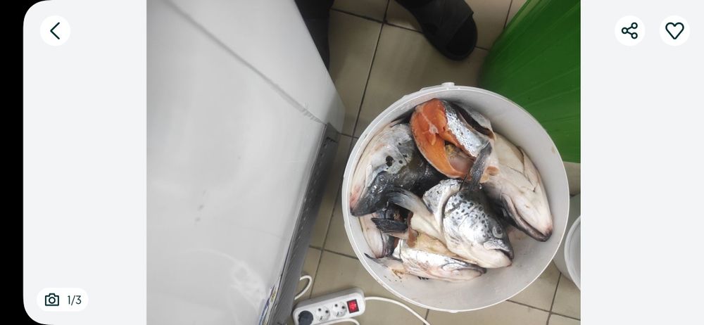 суповой набор семги