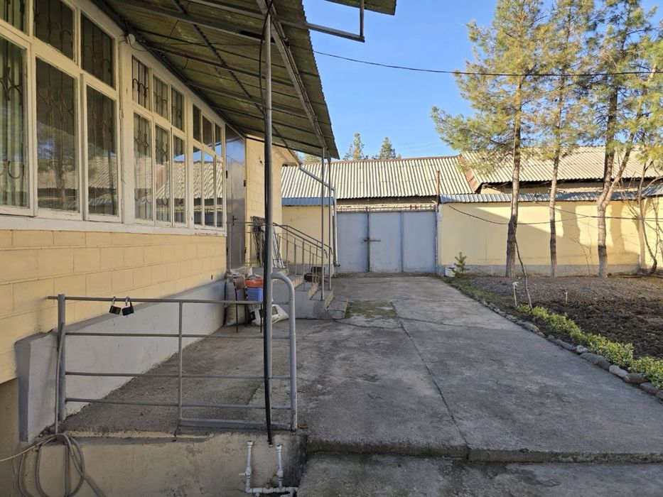 Дача паркент Дала Ховли 1 катор кочани йузида