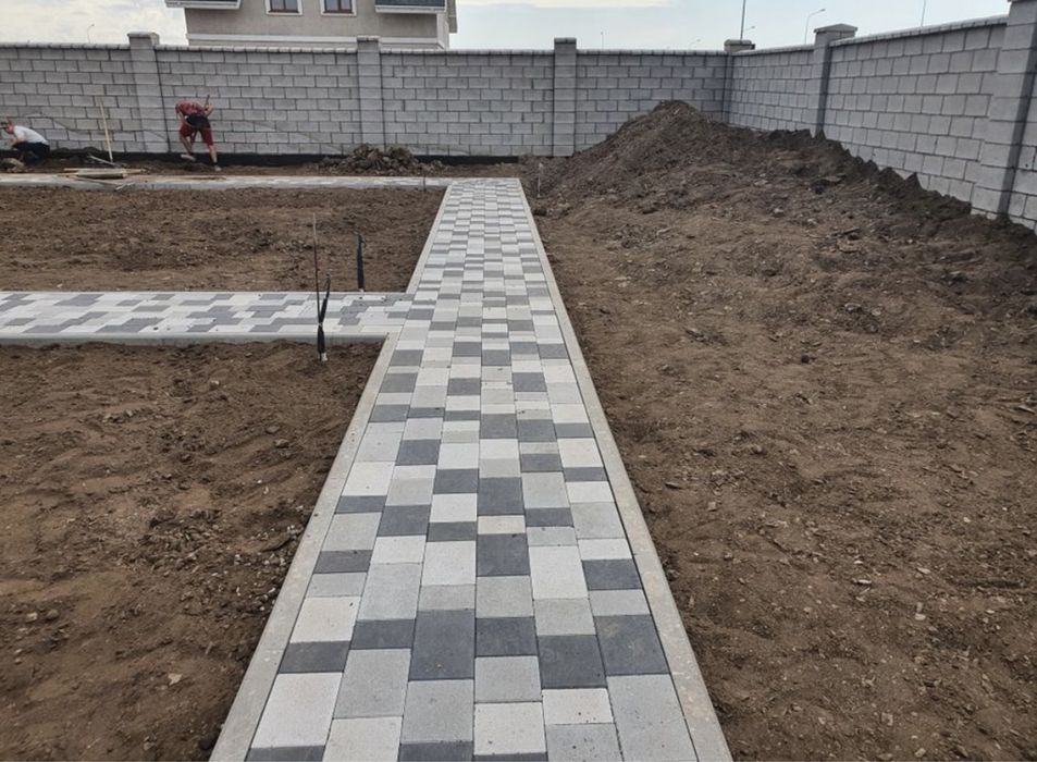 Газон посевной