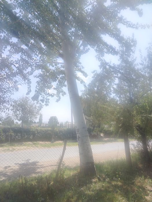 Бака терак сотилади