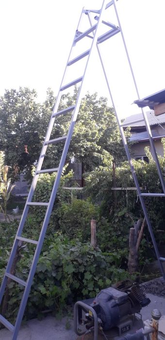 Нарвон (занги) сотилади