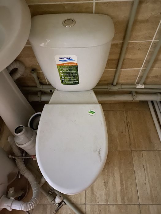 Продам тюлпаны и унитаз