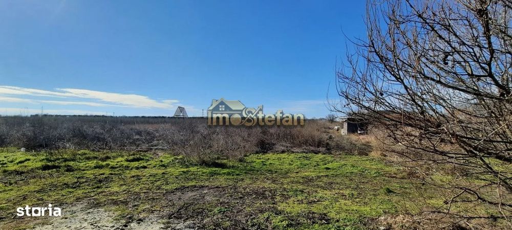Teren Intravilan Vama Veche | 7.495 mp | Oportunitate Investiție
