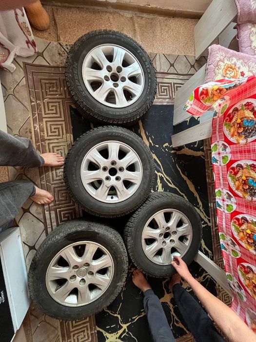 Пашти новы званите