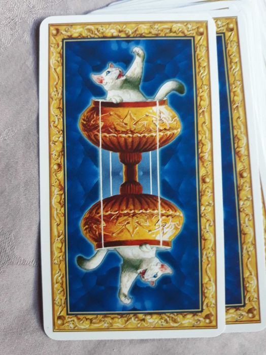 Tarot of white cats - Карти Таро с бели котки