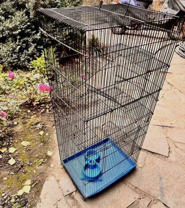 Продам метровую клетку