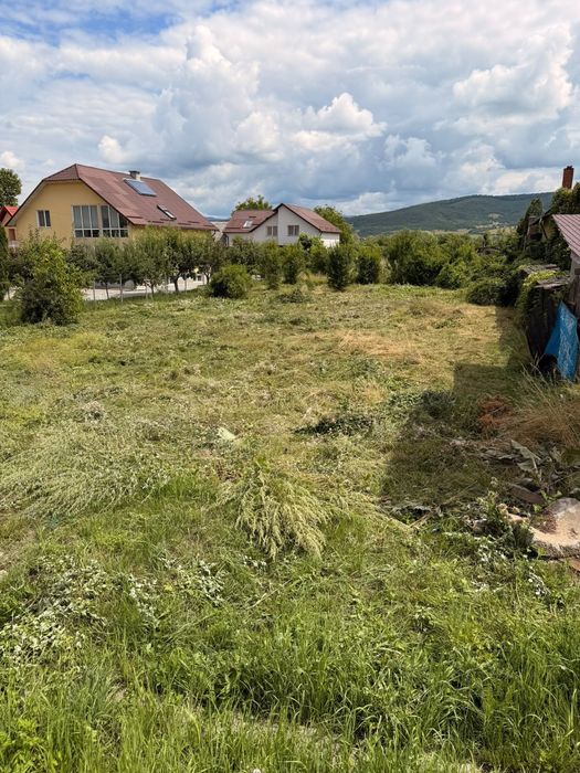 Teren 25 ari Unirea