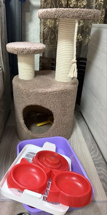 Домик для кошек котов с принадлежностями