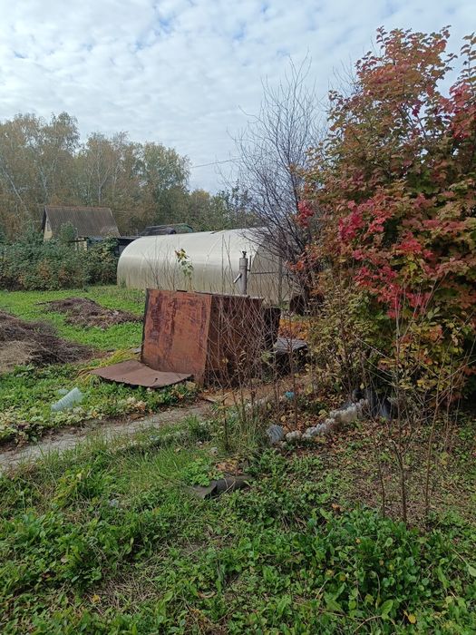 Продам дачу в Новопавловке