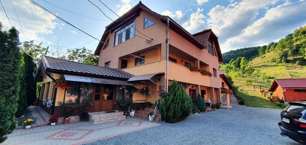 Cabana de inchiriat- Pensiunea Apuseni