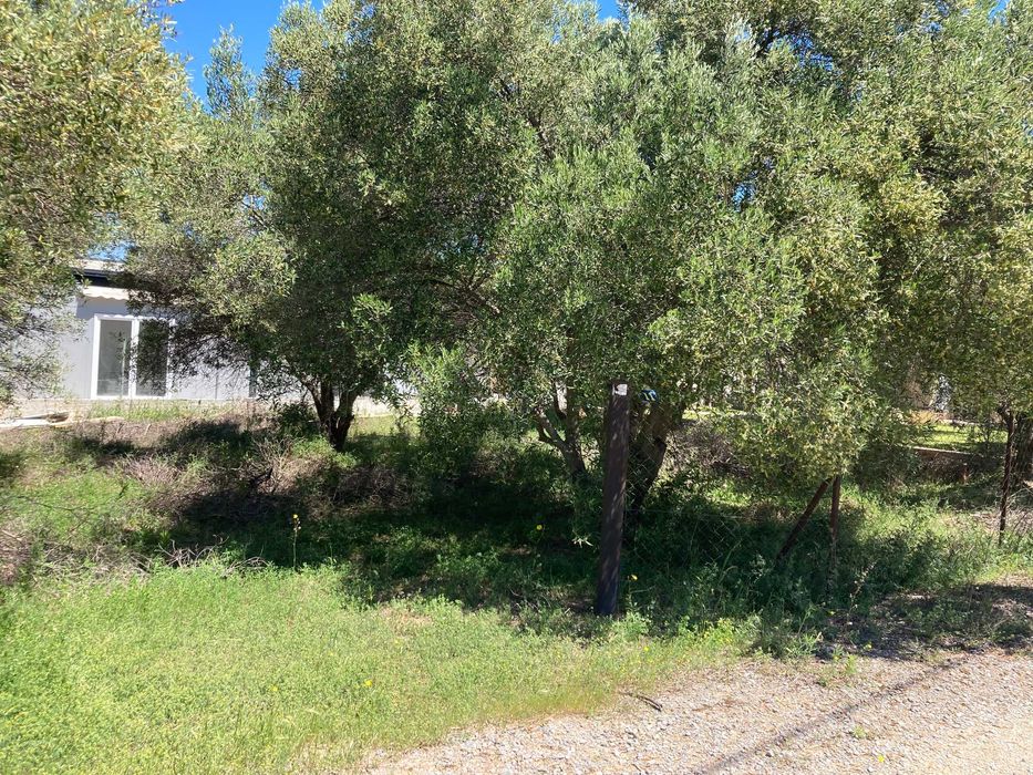 Дава се под наем Парцел в София, Зона Б-19 - 560 кв.м за 1500 € - Снимка #7