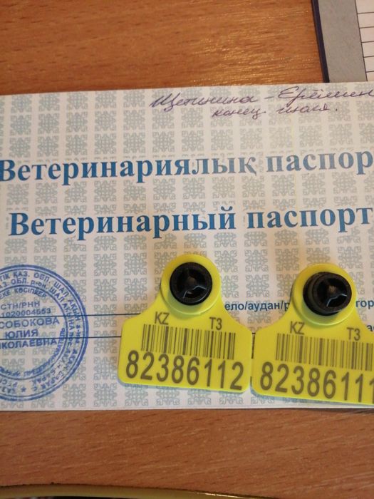 Продам кабана ландрасс