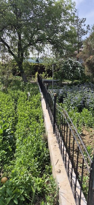 Участок 23 сотки, Новый Ташкентский район