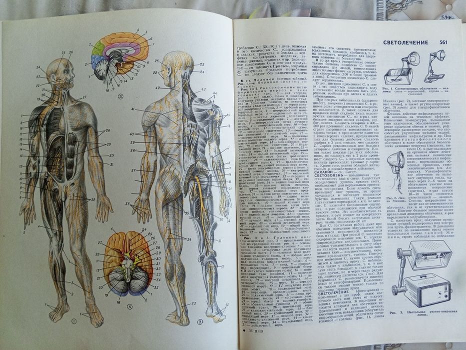 Медицинская энциклопедия