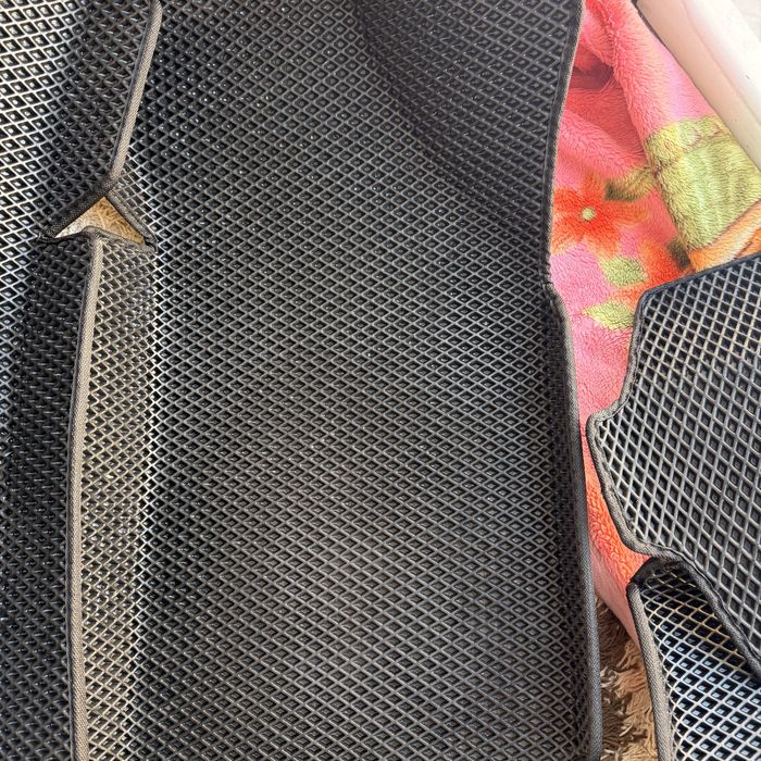 Ева полик кобальт