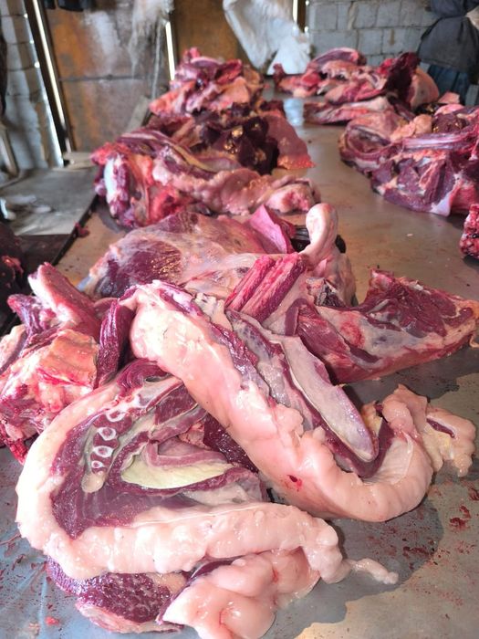 Барбекюде ренжіді