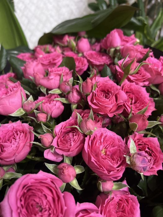 Бүгін келген гүлдер новый