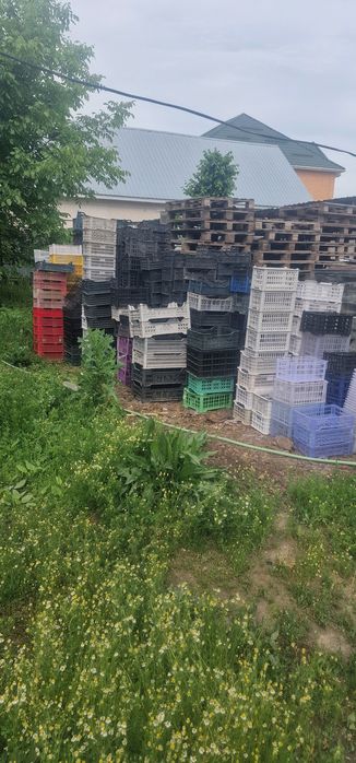 Продам пластиковые ящики.