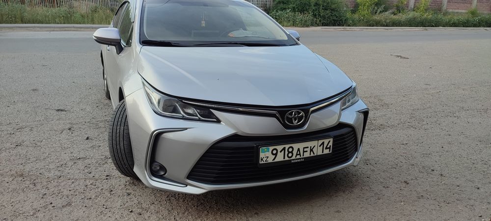 Павлодар Омск Павлодар