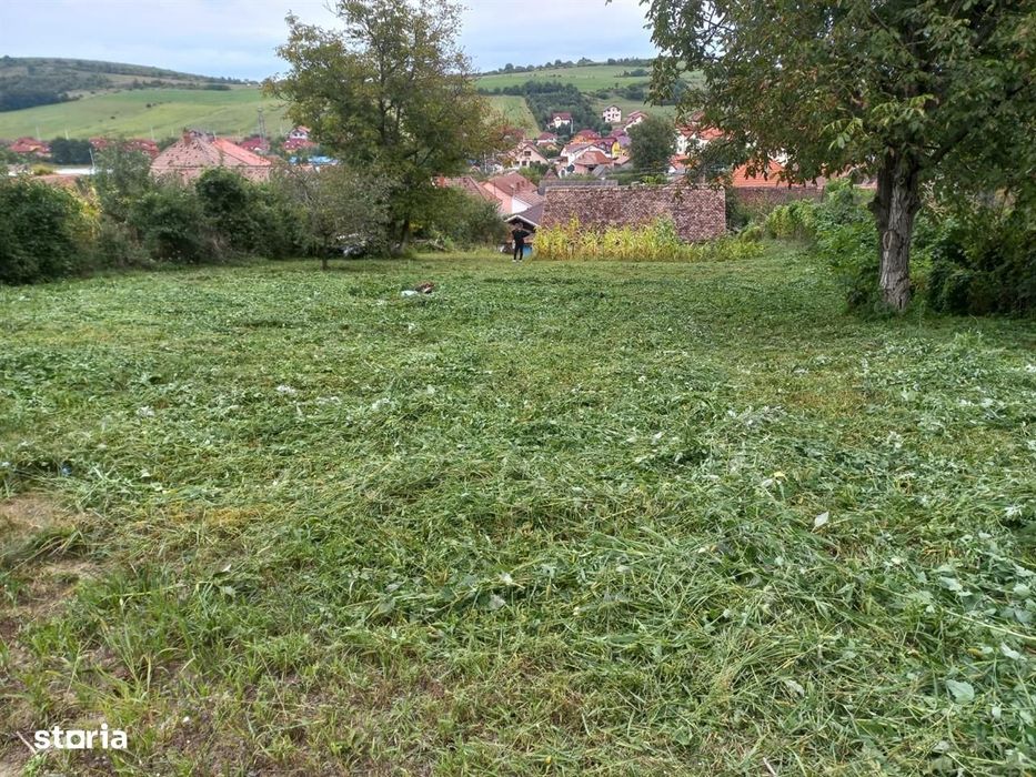 Teren pentru casa 800 mp de vanzare in Sura Mare
