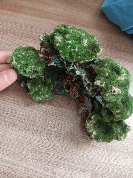 Продам аквариум, полный комплект с рыбками.