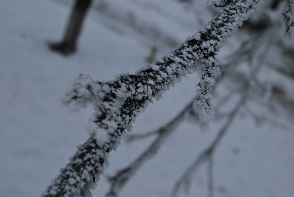 Vând Nikon D60 body +obiectiv