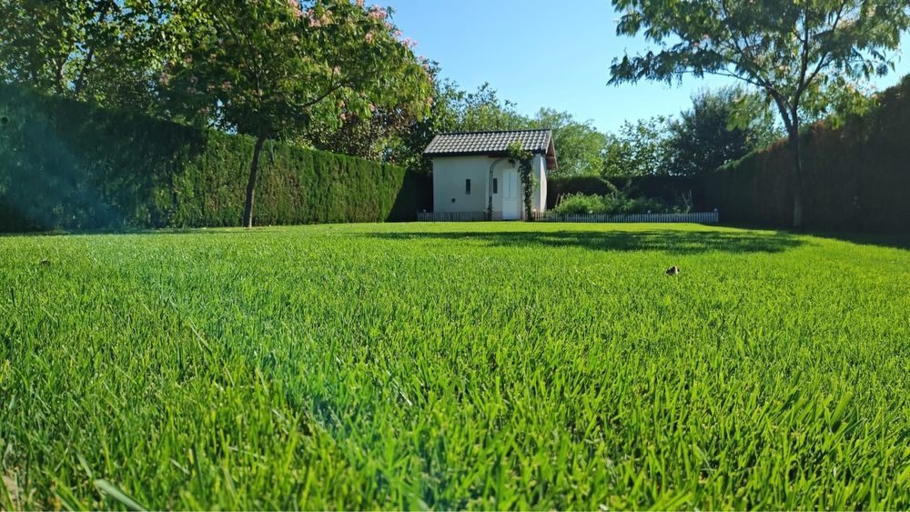 Sisteme de irigat & Montaj gazon natural sau artificial