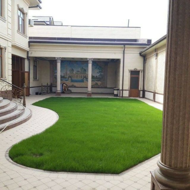 Archalar dekarativni daraxlar mevali daraxlar