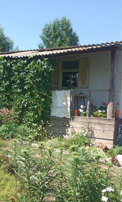 Продам дачу ст озон