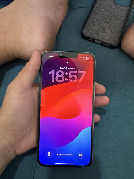 iPhone 13 Pro Max