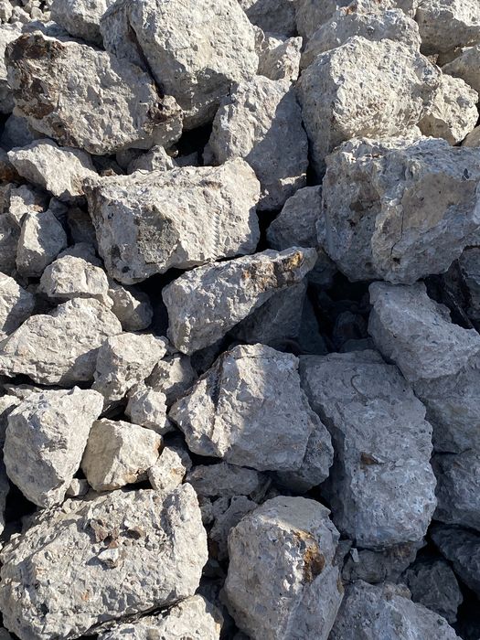 Жемтик Кызылорда