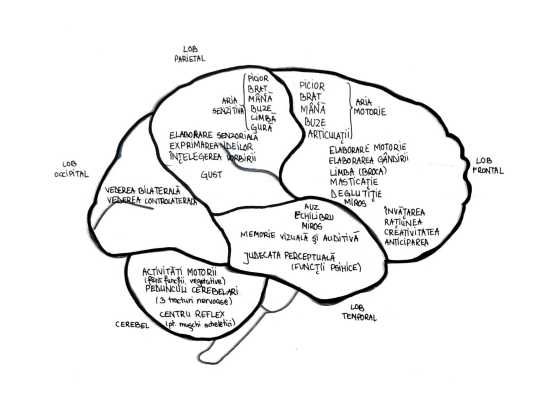Schițe, Scheme și Sinteze Barron's pentru admiterea la medicină