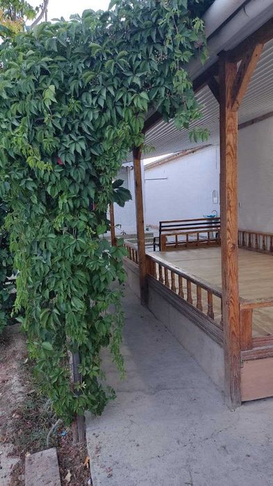 Қызыл төбе ул Балауса